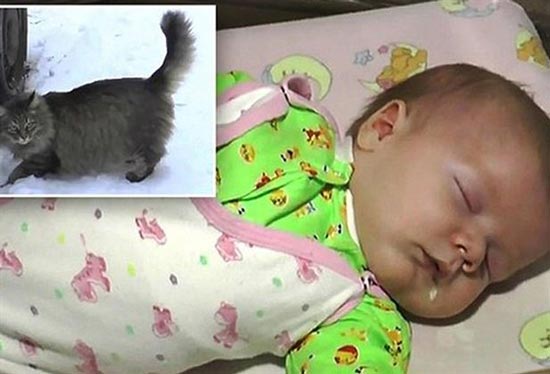 این گربه جان نوزاد 2 ماهه را نجات داد (عکس)
