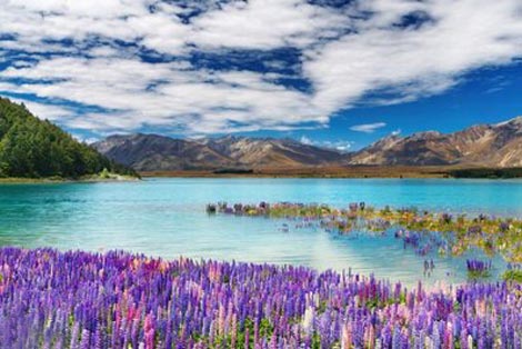 زیبایی های طبیعت نیوزلند (عکس)