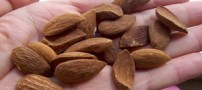 تأثیر بادام در پیشگیری از آلزایمر