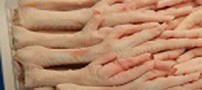 پای مرغ این دردها را درمان می کند