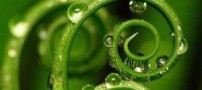 خوش بینی عاملی در موفقیت زندگی