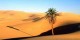 تعبیر دیدن بیابان در عالم خواب