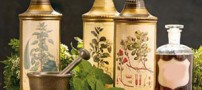 عرق کاسنی و چندین خاصیت بی نظیر آن