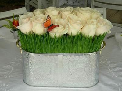 نمونه سبزه هفت سین برای نوروز 94