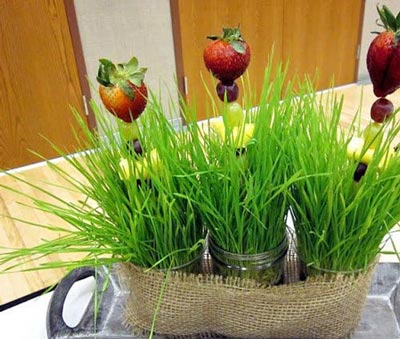 نمونه سبزه هفت سین برای نوروز 94