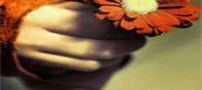 به نام عذرخواهی، به کام گستاخی !
