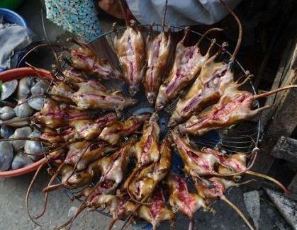 کباب چندش آور موش غذای خوشمزه ویتنامی ها (عکس)