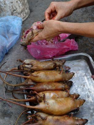 کباب چندش آور موش غذای خوشمزه ویتنامی ها (عکس)
