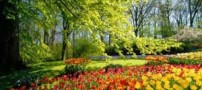 عکس های زیبا و دیدنی از طبیعت بهاری