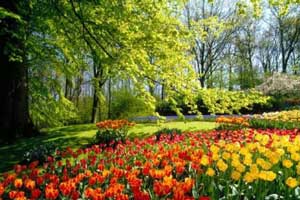 عکس های زیبا و دیدنی از طبیعت بهاری