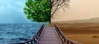 فال بازی خیال جالب و جدید