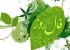فال و طالع بینی روز یکشنبه 16 فروردین 1394
