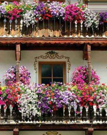 زیباترین باغچه های بالکنی برای خانه ای زیباتر