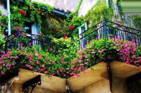 زیباترین باغچه های بالکنی برای خانه ای زیباتر