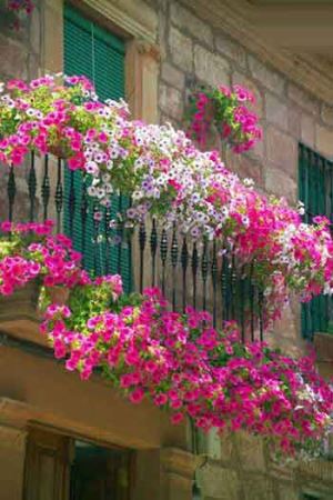 زیباترین باغچه های بالکنی برای خانه ای زیباتر