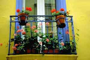 زیباترین باغچه های بالکنی برای خانه ای زیباتر