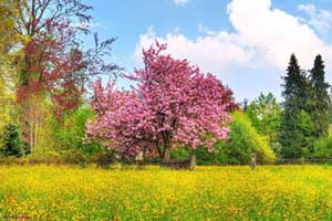 ضرب المثل های خواندنی بهاری