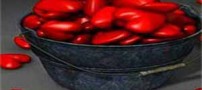 زمانی که تند تند عاشق می شوید!