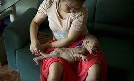 پوست و استخوان شدن این کودک بخاطر  (عکس 18+)