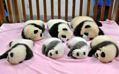 خفن ترین مهد کودک دنیا (عکس) خفن ترین مهد کودک دنیا (عکس)
