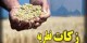 اعلام مبلغ زکات فطر از نظر آیت الله مکارم