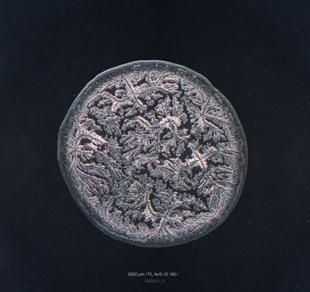 دنیای حیرت انگیز و میکروسکوپی قطرهای اشک