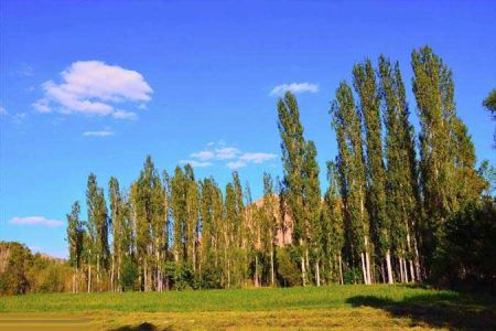 طبیعت دیدنی روستایی در استان قزوین (عکس)