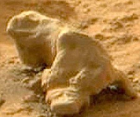 عکس های جنجالی از کره مریخ