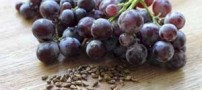 هسته ی انگور چه خواصی دارد؟