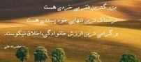 آموزه های فلسفی و خواندنی به روایت تصویر
