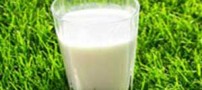 شیرهای گیاهی و خواص آن ها