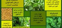 خواص بی نظیر شنبلیله و تخم شنبلیله
