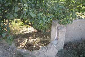 جزئیات خودکشی وحشتناک جوان 24 ساله در کرج