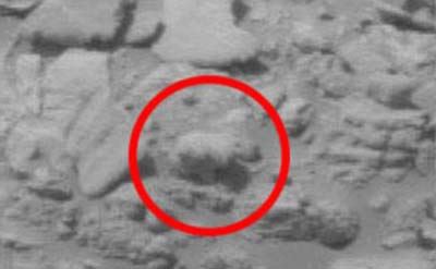 کشف جنجالی یک خرس در مریخ (عکس)