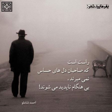 مینی شعرهای تصویری و خواندنی سری اول