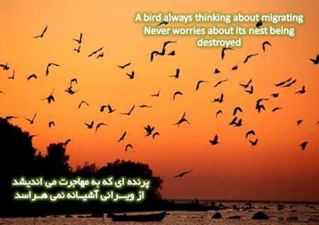 عکس نوشته های تصویری و الهام بخش زندگی