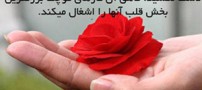 جملاتی الهام بخش و زیبا برای زندگی! (قسمت 30)