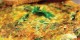 طرز تهیه شام سریع برای شاغلین