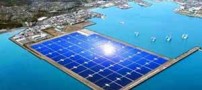 متحیر ترین نوع کشاورزی در دنیا (عکس)