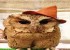 کافه جغدهای دیدنی توکیو + عکس