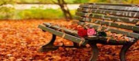عاشقانه های زندگی