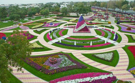 عکسهایی دیدنی از  پارکی سرسبز و هزار رنگ در امارات
