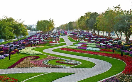 عکسهایی دیدنی از پارکی سرسبز و هزار رنگ در امارات عکسهایی دیدنی از پارکی سرسبز و هزار رنگ در امارات