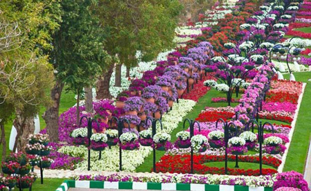 عکسهایی دیدنی از پارکی سرسبز و هزار رنگ در امارات عکسهایی دیدنی از پارکی سرسبز و هزار رنگ در امارات