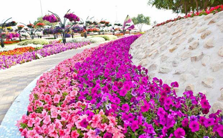 عکسهایی دیدنی از پارکی سرسبز و هزار رنگ در امارات عکسهایی دیدنی از پارکی سرسبز و هزار رنگ در امارات