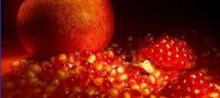 زیباترین شعرهای مخصوص شب یلدا 1394