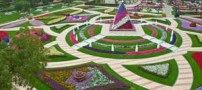 عکسهایی دیدنی از  پارکی سرسبز و هزار رنگ در امارات