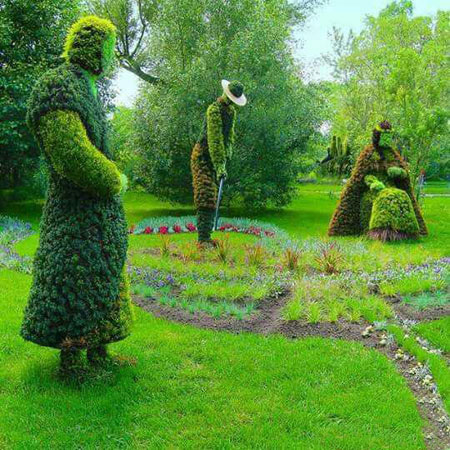 عکس هایی بسیار زیبا از درختان متفاوت و عجیب
