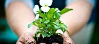خصوصیات ممتاز همسرانی که عاشق باغبانی هستند