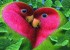 اس ام اس های عاشقانه و زیبای دلتنگی و دوری 94